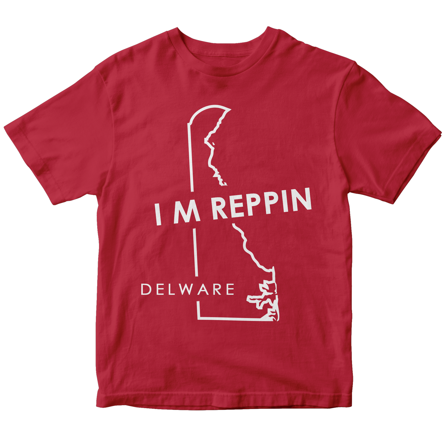 Delaware State Outline T-shirt